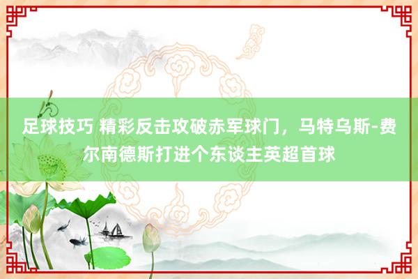 足球技巧 精彩反击攻破赤军球门，马特乌斯-费尔南德斯打进个东谈主英超首球